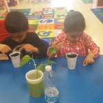 blossoms-daycare-franklin-location-gallery-image-11
